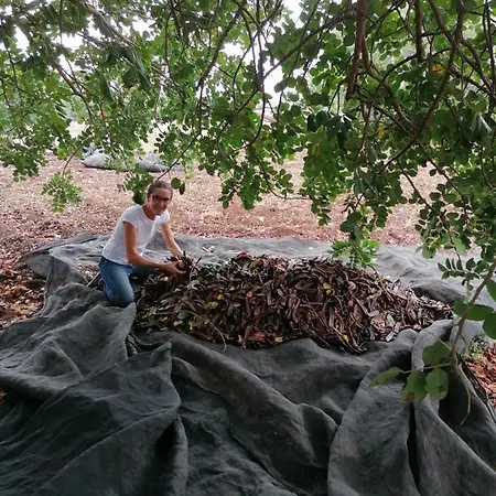 Baglio Calanchi Μόντικα