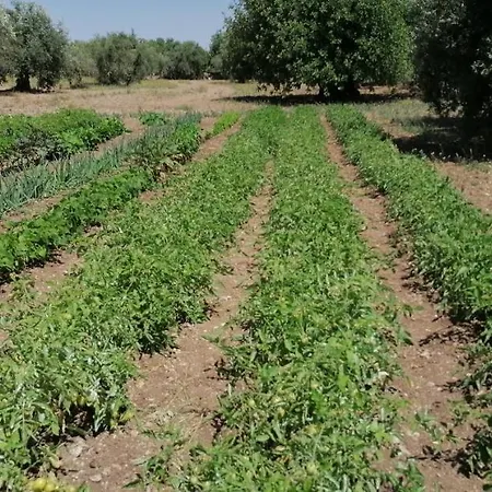 Baglio Calanchi Farm stay