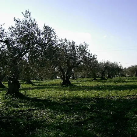 Baglio Calanchi Farm stay *