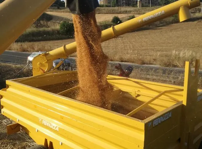 Farma Baglio Calanchi *