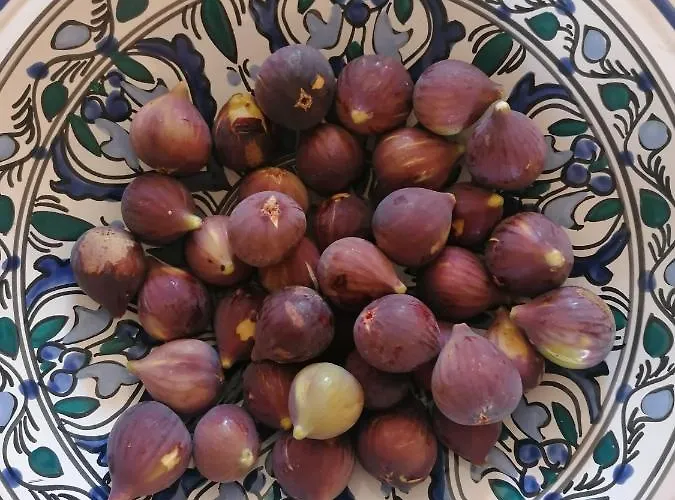 Baglio Calanchi Farma *