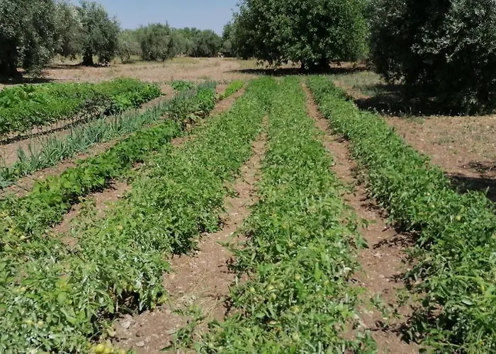Baglio Calanchi Farma